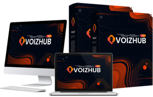 VoizHub Ai Review 